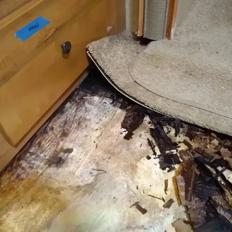 Best Wood Floor Water Damage Service in Chelsea, MA